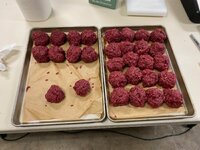 IMG_6524.jpeg