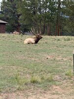 IMG_0723.jpeg