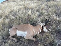 IMG_6425.jpeg