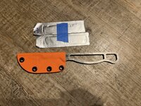 IMG_6886.jpeg