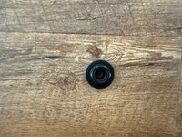 IMG_0774.jpeg