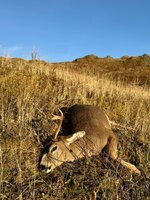 IMG_9329.jpeg