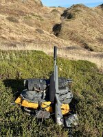 IMG_9342.jpeg