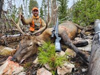 2025 elk.jpg