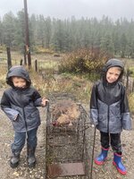IMG_3233.jpeg