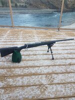 IMG_2667.jpeg