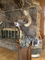 IMG_2644.jpeg