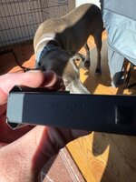 IMG_2207.jpeg