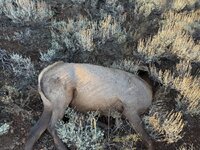 IMG_3125.jpeg