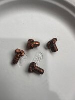 IMG_8227.jpeg