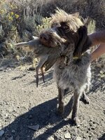 IMG_6195.jpeg