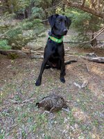 IMG_3686.jpeg