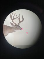 IMG_5226.jpeg