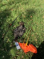 IMG_0436.jpeg