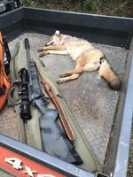 yote.JPG