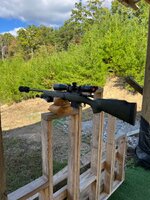 IMG_5283.jpeg