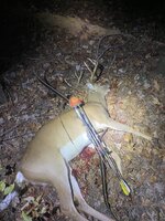 IMG_1277.jpeg