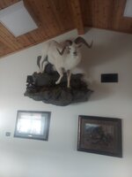 20230403_105647.jpg