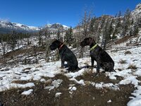 IMG_3358.jpeg