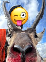 IMG_8621.jpeg