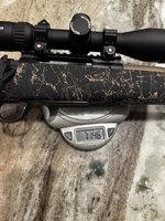 IMG_6409.jpeg