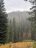 IMG_2891.jpeg