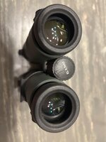 IMG_8010.jpeg