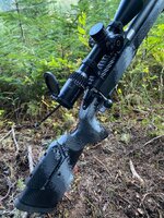 IMG_3784.jpeg