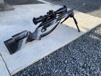 IMG_3339.jpeg