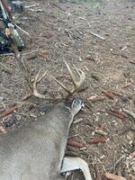 IMG_3197.jpeg