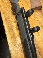 IMG_9301.jpeg