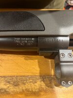 IMG_9303.jpeg