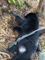 IMG_3110.JPEG