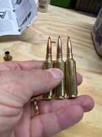 IMG_7793.jpeg