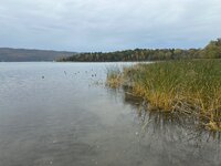 IMG_8702.jpeg