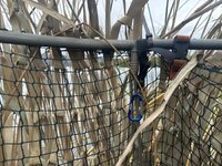 IMG_8698.jpeg
