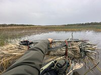 IMG_8704.jpeg