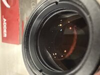 IMG_1479.jpeg IMG_1479.jpeg