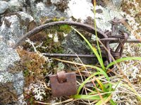 IMG_1736.jpeg