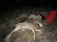 IMG_0777.jpg