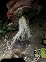 IMG_0779.jpg