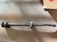 IMG_3413.jpeg