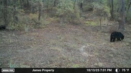 IMG_6376.jpeg