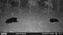 IMG_6375.jpeg