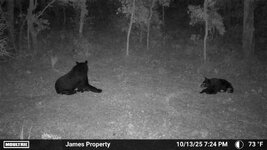 IMG_6374.jpeg