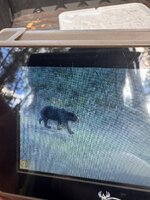 IMG_6225.jpeg