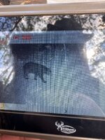 IMG_6224.jpeg