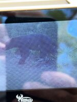 IMG_2066.jpeg