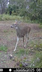 IMG_5316.jpeg