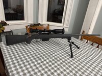 IMG_3117.jpeg